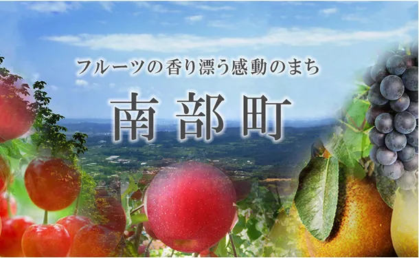 青森県産「サンふじ」約10kg - Image 4