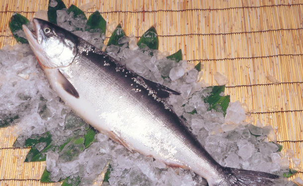 北海道産「時鮭(ときしらず)切身」80g - Image 3
