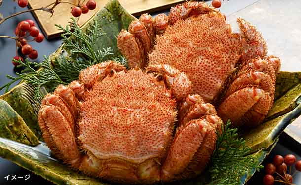 北海道産「ボイル毛がに姿(KHB502)」500g