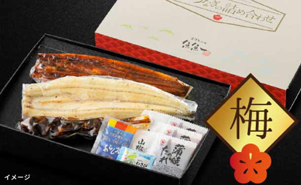 魚魚一「浜名湖うなぎの詰め合わせ(梅)」