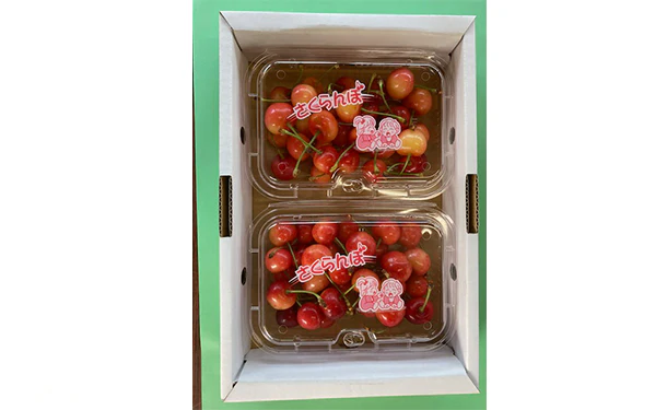 紅秀峰「さくらんぼ」200g - Image 2