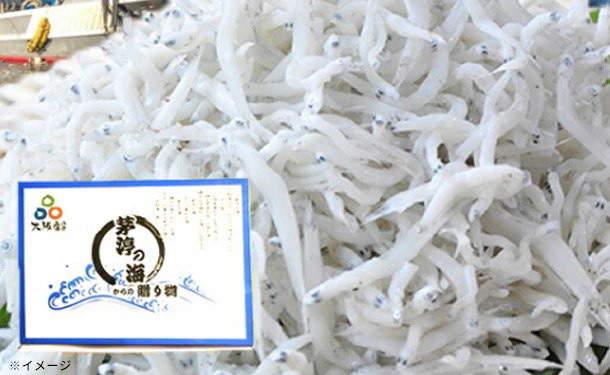 「朝獲れ直送 釜揚げしらす」250g