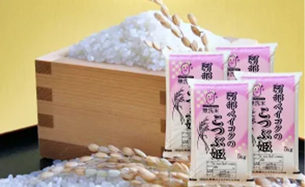 「こつぶ姫 無洗米」5kg
