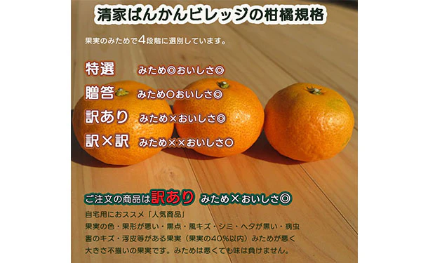 愛媛県産「訳あり 愛媛みかん(S-L)」10kg - Image 6