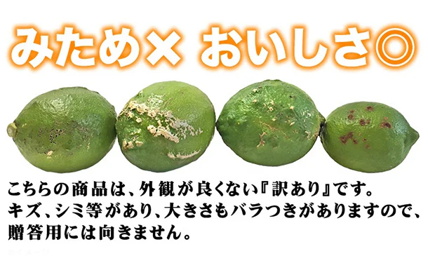 愛媛県産「訳あり レモン(2S-2L)」5kg - Image 2