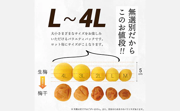 「紀州産南高梅 減塩 つぶれ梅 はちみつ味 梅干し 塩分3％」350g - Image 3