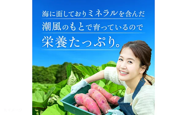 茨城県産「訳あり干し芋」3kg - Image 6