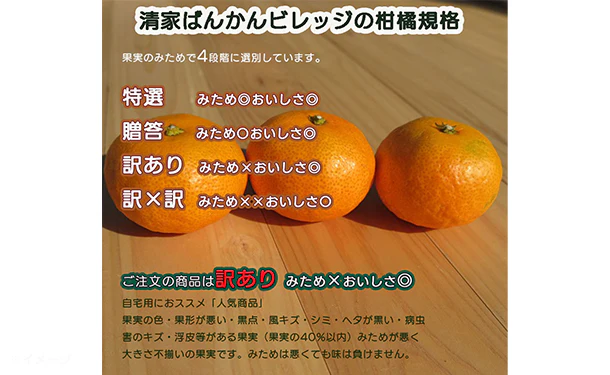 愛媛県産「訳ありポンカン（M-2L）」約3kg - Image 4