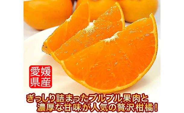 愛媛県産「訳あり せとか（2L〜5L）」約10kg - Image 2