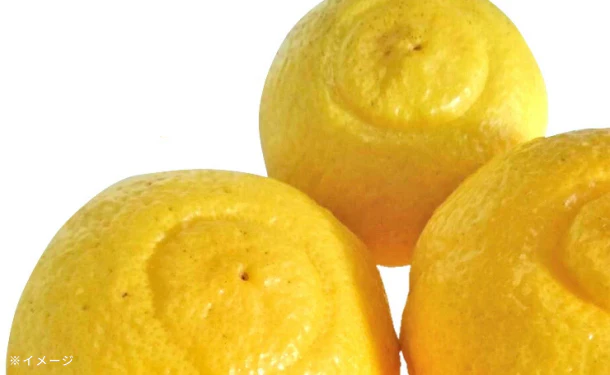 愛媛県産「訳ありはるか(M-3L)」5kg - Image 4