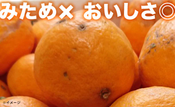愛媛県産「お試し 訳ありなつみ（2S-2L）」10kg - Image 2