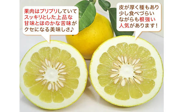 愛媛県産「規格外土佐文旦（M-4L）」9kg - Image 3