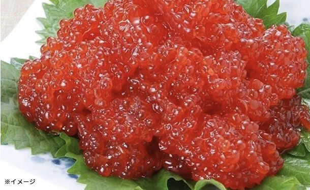 「紅鮭筋子醤油漬け」1kg