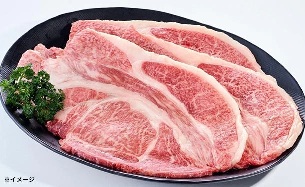 ใใขใใฟใคใใคใใผใ ้ป ้ปๆฏๅ็100%ใ1kg