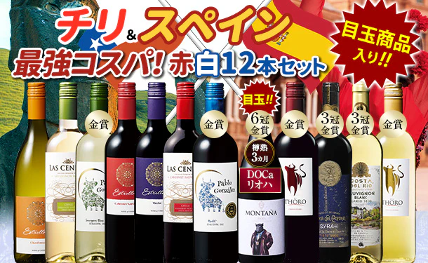 「コスパ抜群!金賞受賞含むチリスペインワインセット」750ml