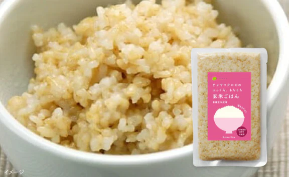 CHAYAマクロビ「シチュー3種&玄米ごはん2種セット」計31食 - Image 6