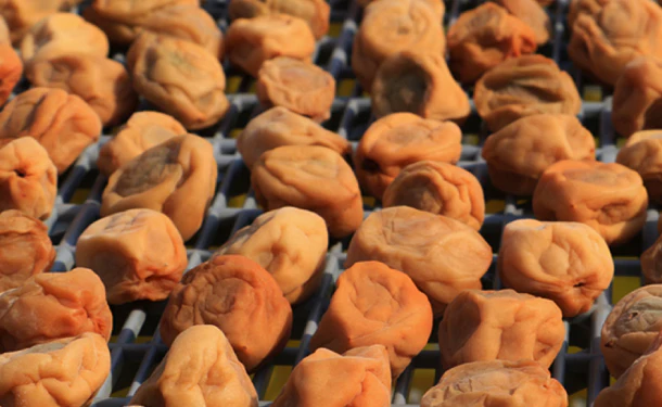 「減塩 紀州産南高梅 つぶれ梅 しそ漬味梅干し 塩分 3%」270g - Image 2