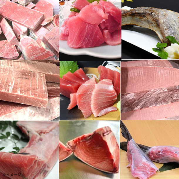 Kuradashi限定「訳ありマグロ福袋(中トロ入り) 4種」約4kg