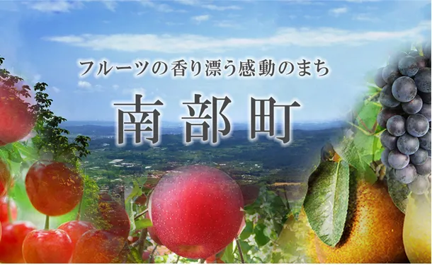 青森県産「無選別 シナノスイート」約5.0kg - Image 3