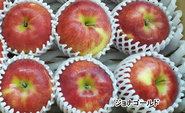 青森県産「無選別 サンジョナゴールド」約5.0kg