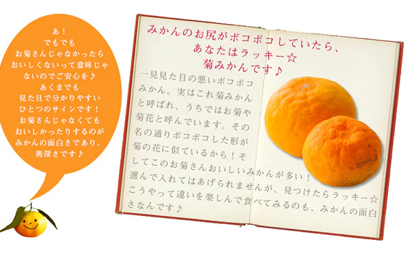 愛媛県産「吉田みかん（L～3L）」10kg - Image 4