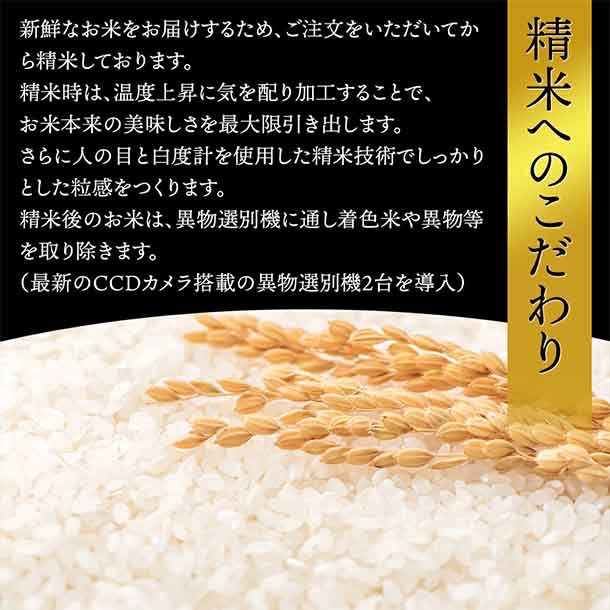 令和6年産「はえぬき 無洗米」5kg - Image 5