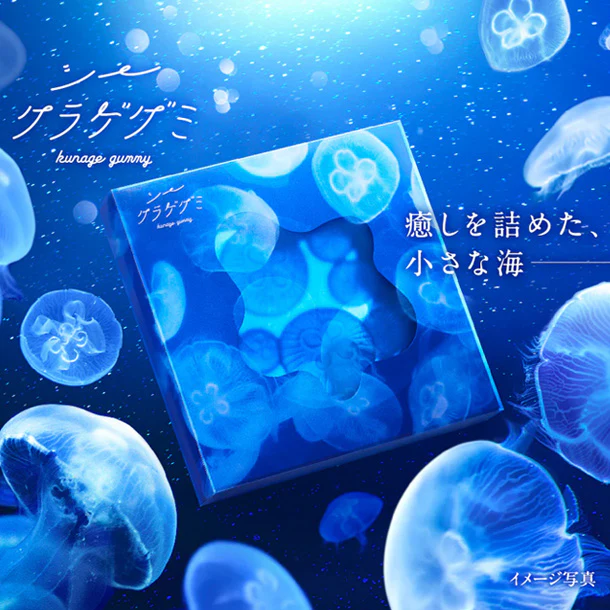 カンロ「シークラゲグミ」99g