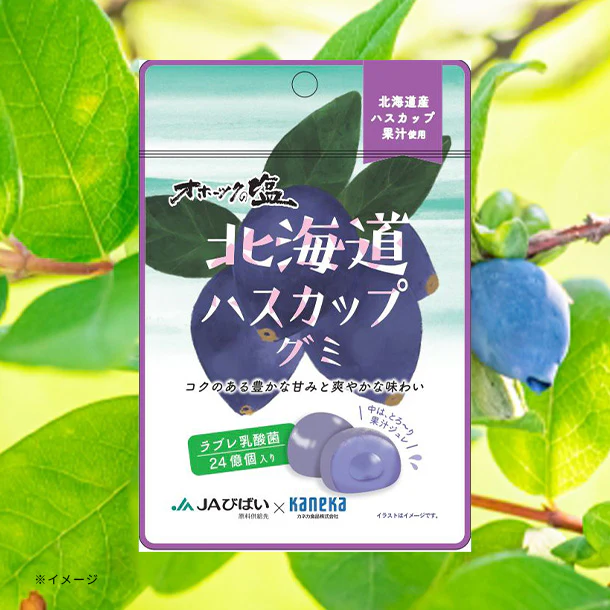 「北海道ハスカップグミ ラブレ乳酸菌入」40g