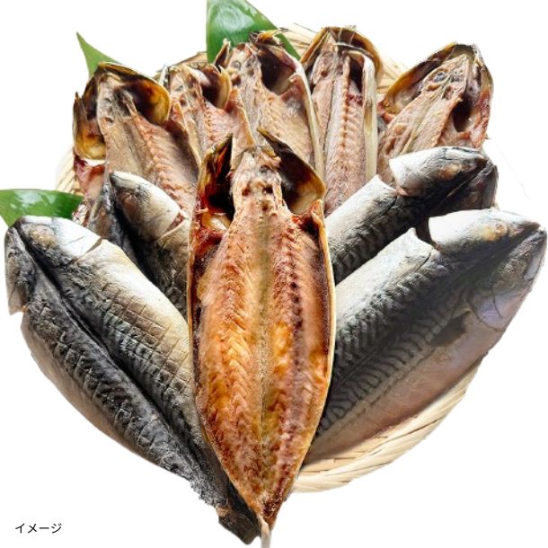 「沼津加工 訳あり トロサバ たっぷり10枚」1.5kg