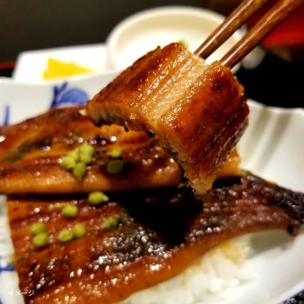 「国産うなぎ蒲焼」5尾