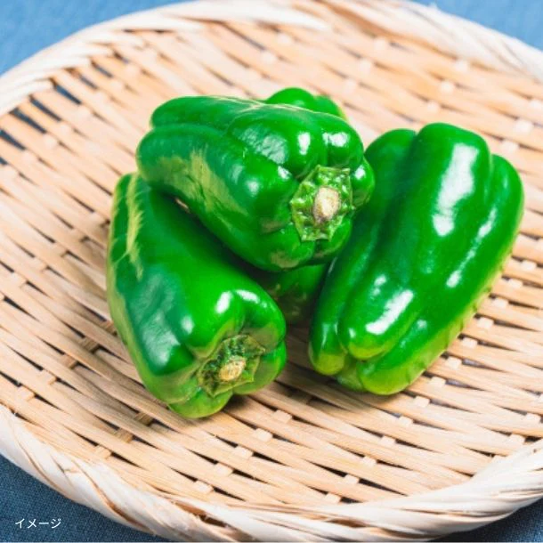 千葉県産「房総野菜 無限ピーマン」約800g