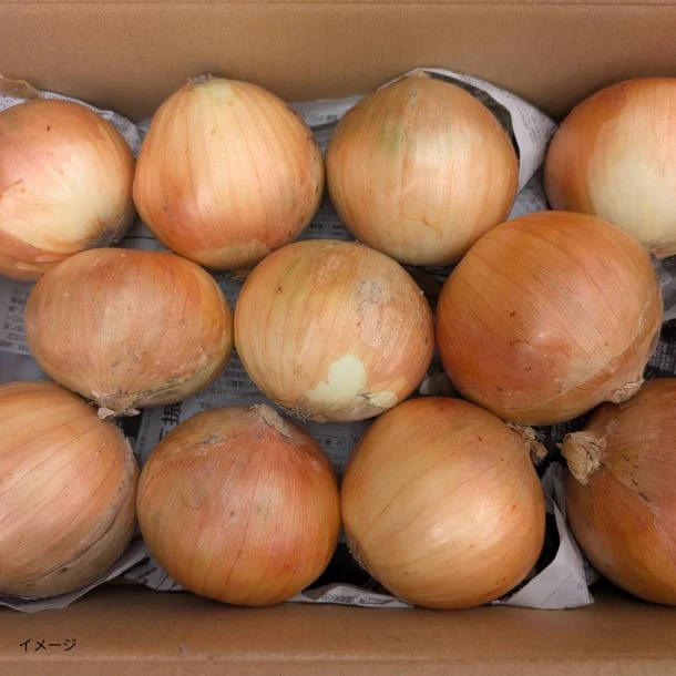 「ブランド 国産玉ねぎ 玉しずく」2kg