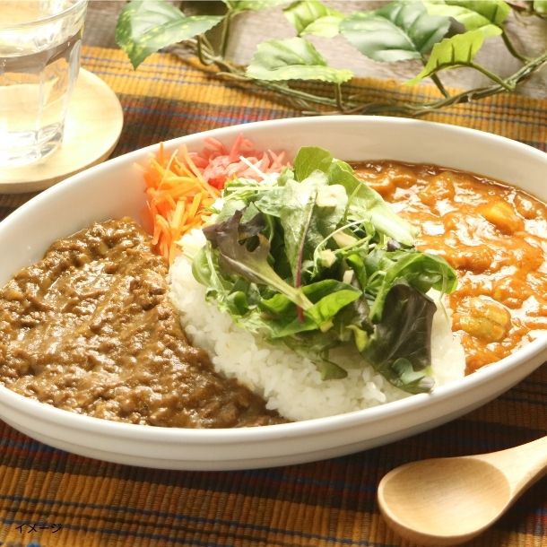 「DMVカレー 130g」2袋入