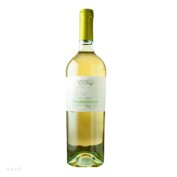 イタリア産 白「ソットリーヴァ・シャルドネ」750ml