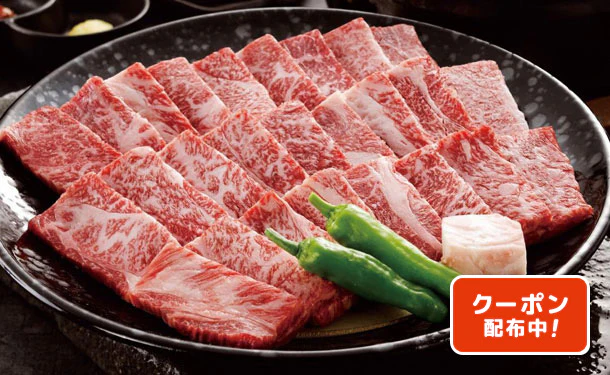 大淀河畔みやちく「宮崎牛 焼肉(肩ロース)」500g(RE-283)