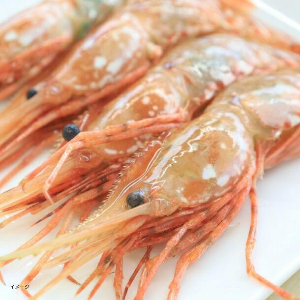 北海道産「ボタンエビ」500g